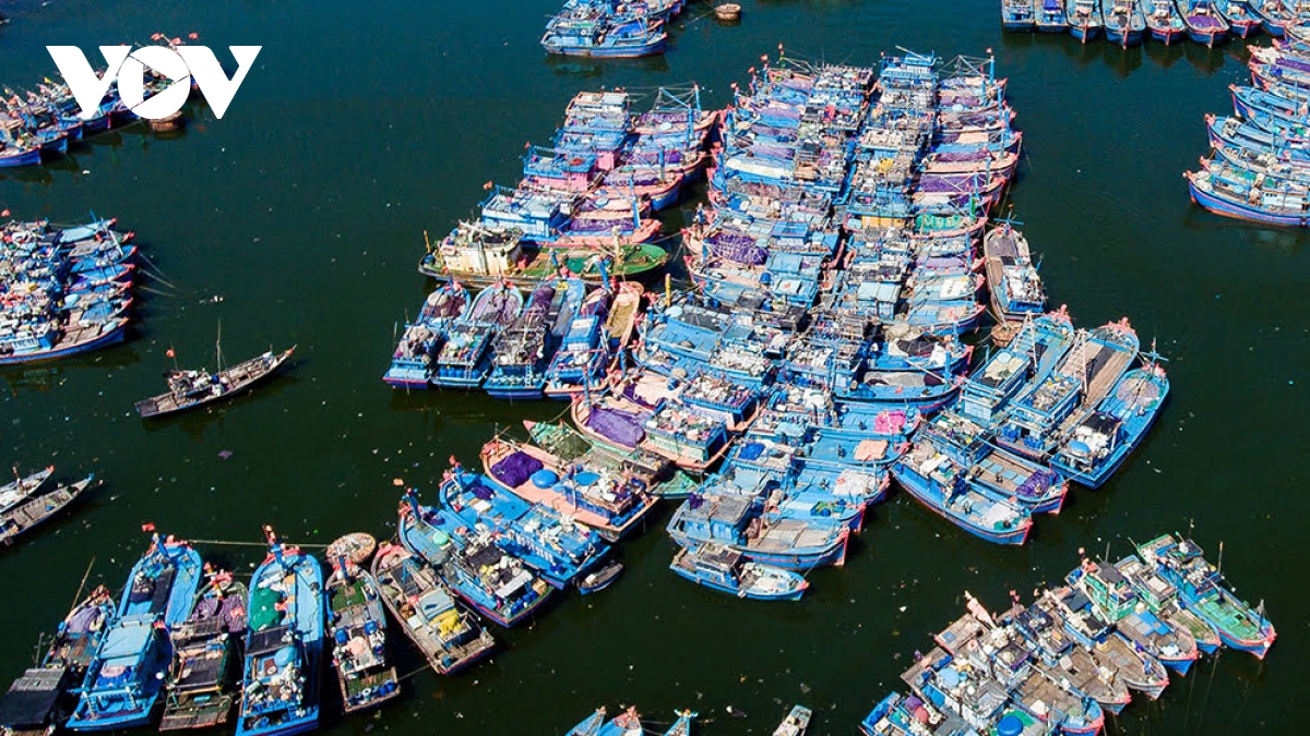 Tập trung gỡ thẻ vàng EC, Đà Nẵng tăng cường kiểm soát tàu cá