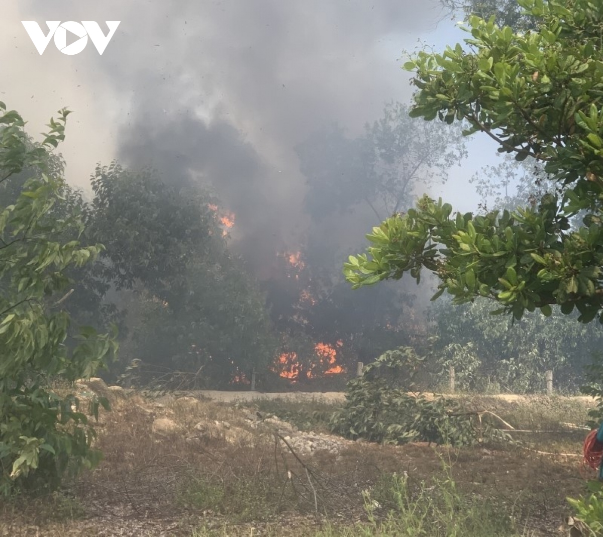 Cháy gần 21 ha rừng phòng hộ Pacsa ở Quảng Nam