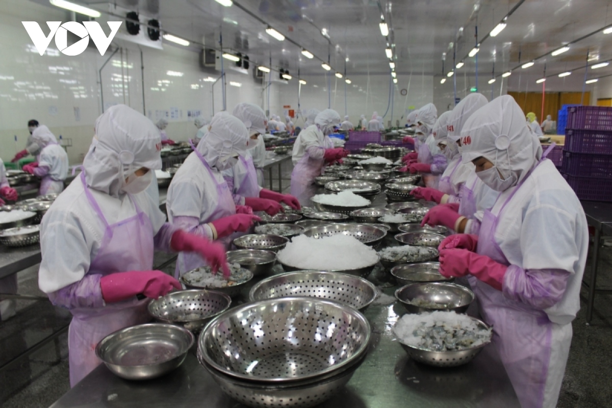Kim ngạch xuất khẩu thủy sản Việt Nam giảm mạnh