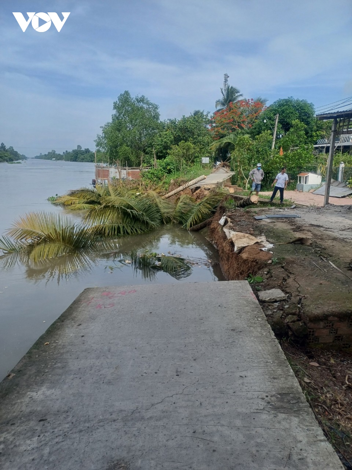 Hậu Giang: Lại sạt lở bờ kênh, đường giao thông nông thôn bị cắt đứt