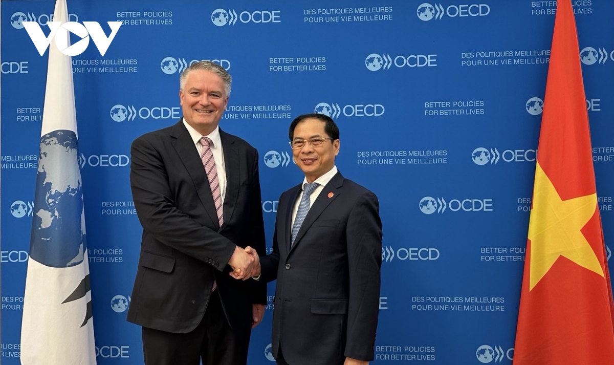 OECD cam kết đồng hành cùng Việt Nam đổi mới tăng trưởng