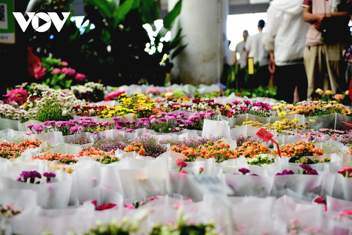 Bên trong chợ hoa lớn nhất châu Á - nơi 1 bó hoa có giá chỉ bằng 1 bông hoa
