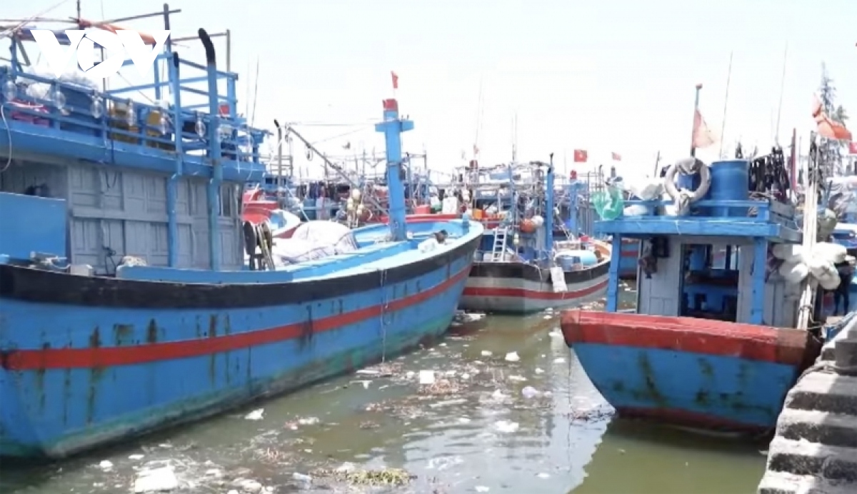 Quảng Ngãi cần đầu tư mở rộng cảng cá đón tàu về bán hải sản