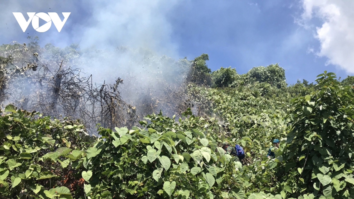 Huy động 150 người dập tắt đám cháy trên đèo Hải Vân