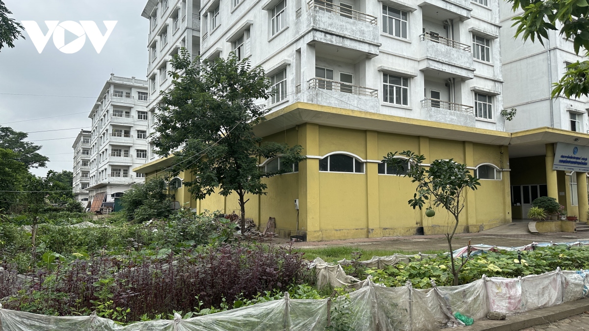 Cận cảnh nhà tái định cư trong Khu đô thị Sài Đồng bỏ không lãng phí