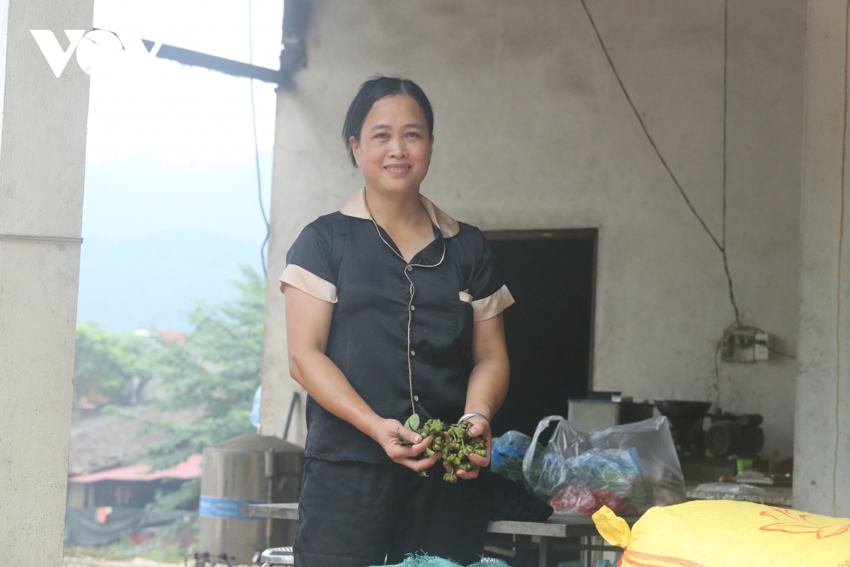 Nữ nông dân người Nùng với khát vọng làm giàu trên mảnh đất quê hương