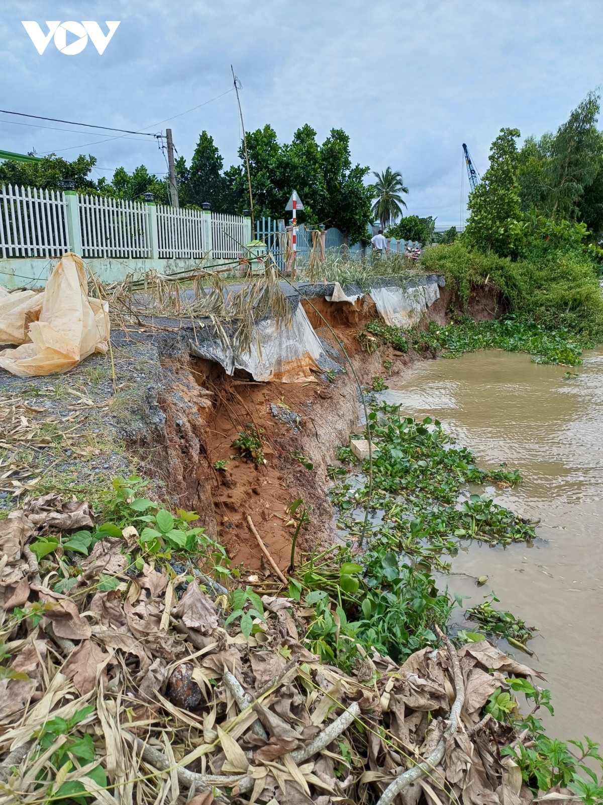 Tiếp tục xảy ra sạt lở lớn ven sông Ba Rài (Tiền Giang)