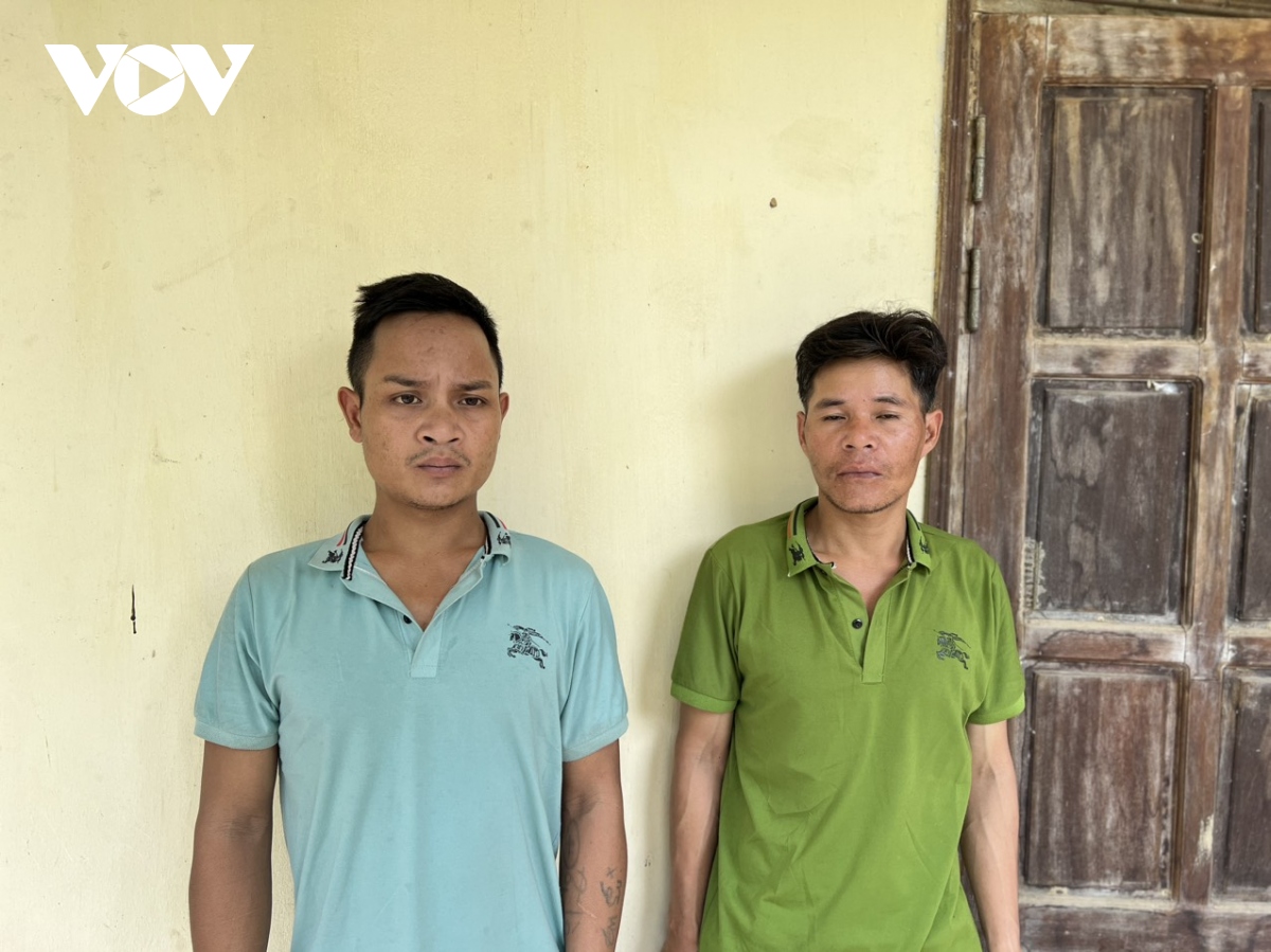 Nhức nhối nạn trộm cắp sâm Ngọc Linh ở Quảng Nam