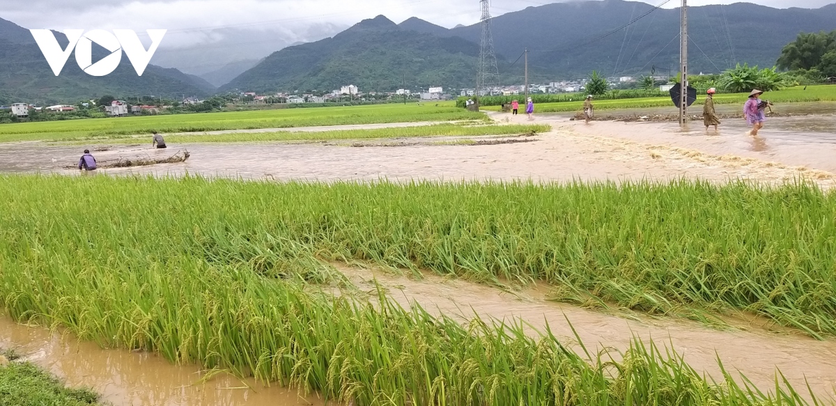 Lũ lớn gây thiệt hại nặng tại Phù Yên, Sơn La