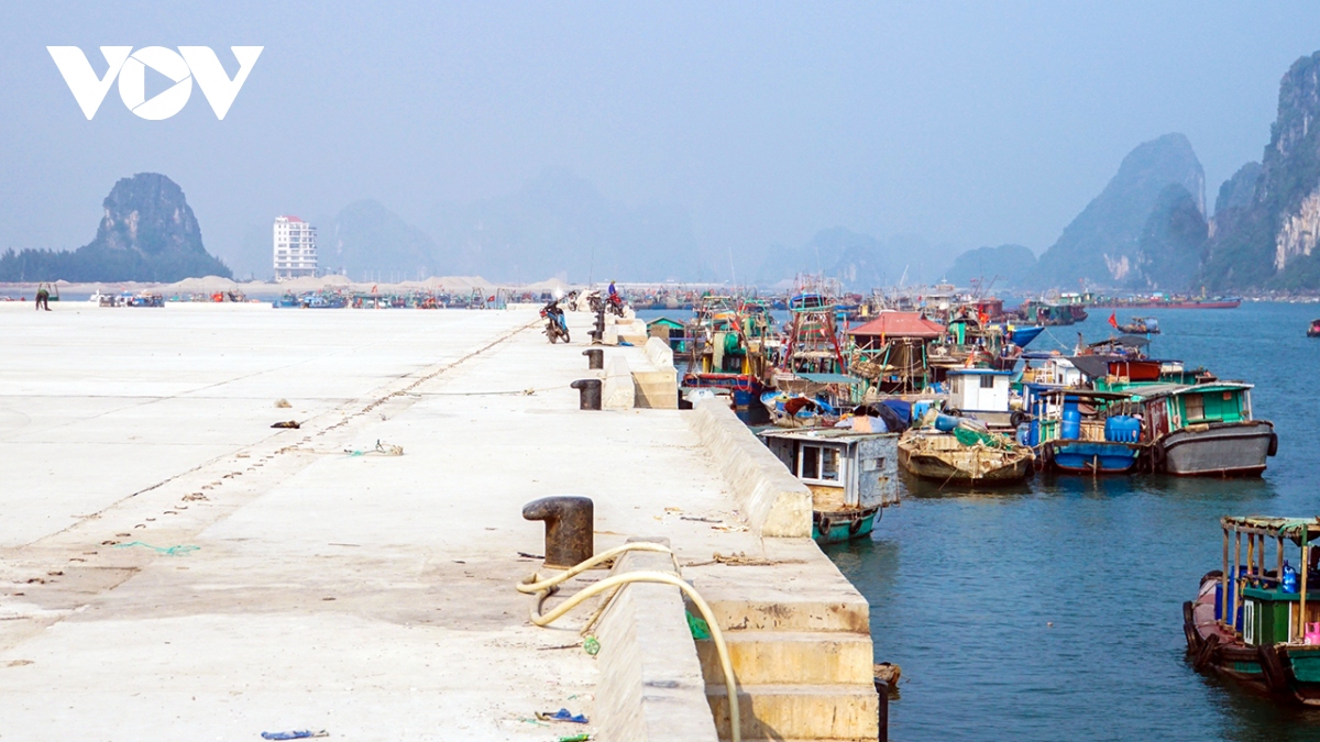 Tăng cường đầu tư và khai thác hiệu quả hạ tầng cảng biển
