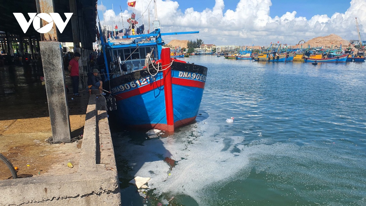 Xử lý dứt điểm ô nhiễm môi trường ở cảng cá Quy Nhơn