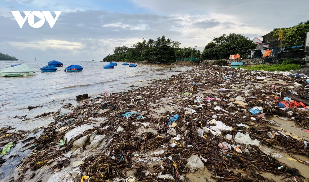 Bờ biển Quảng Ngãi ngập rác thải sau đợt mưa lớn