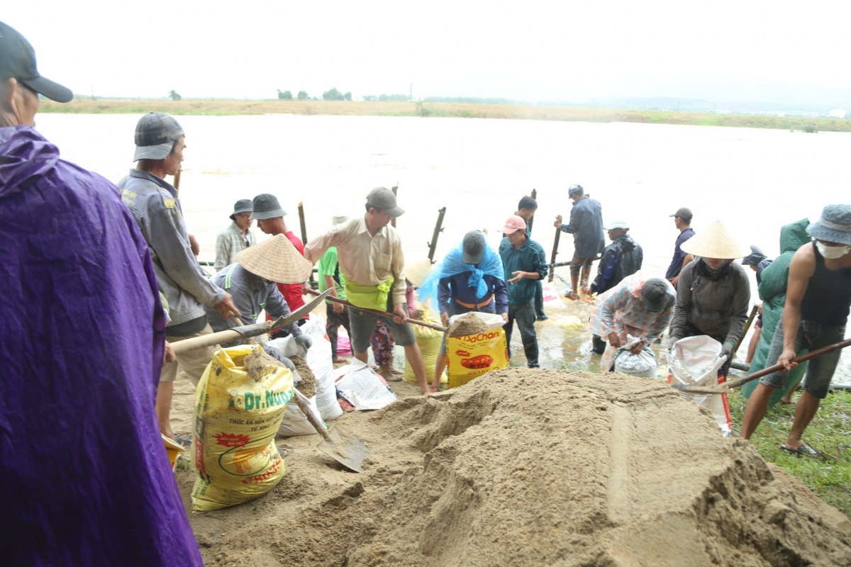 Sạt lở bờ sông Vu Gia (Quảng Nam), nguy cơ cô lập gần 200 hộ dân