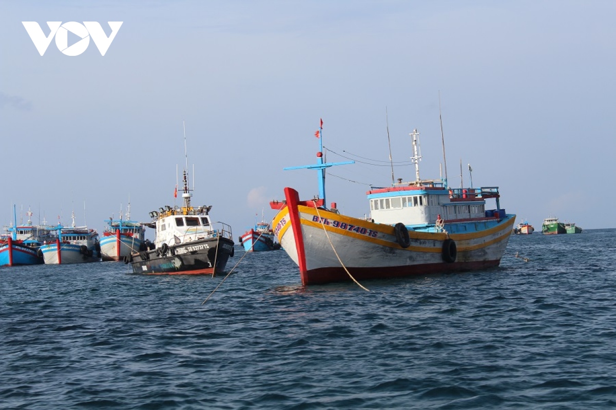 Đã tiếp cận được tàu cá có 14 ngư dân thả trôi trên vùng biển Bình Thuận
