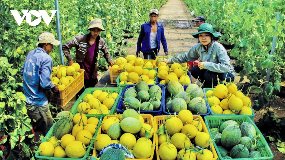 Nông dân Bình Dương cần hỗ trợ để không quay lưng với sản xuất