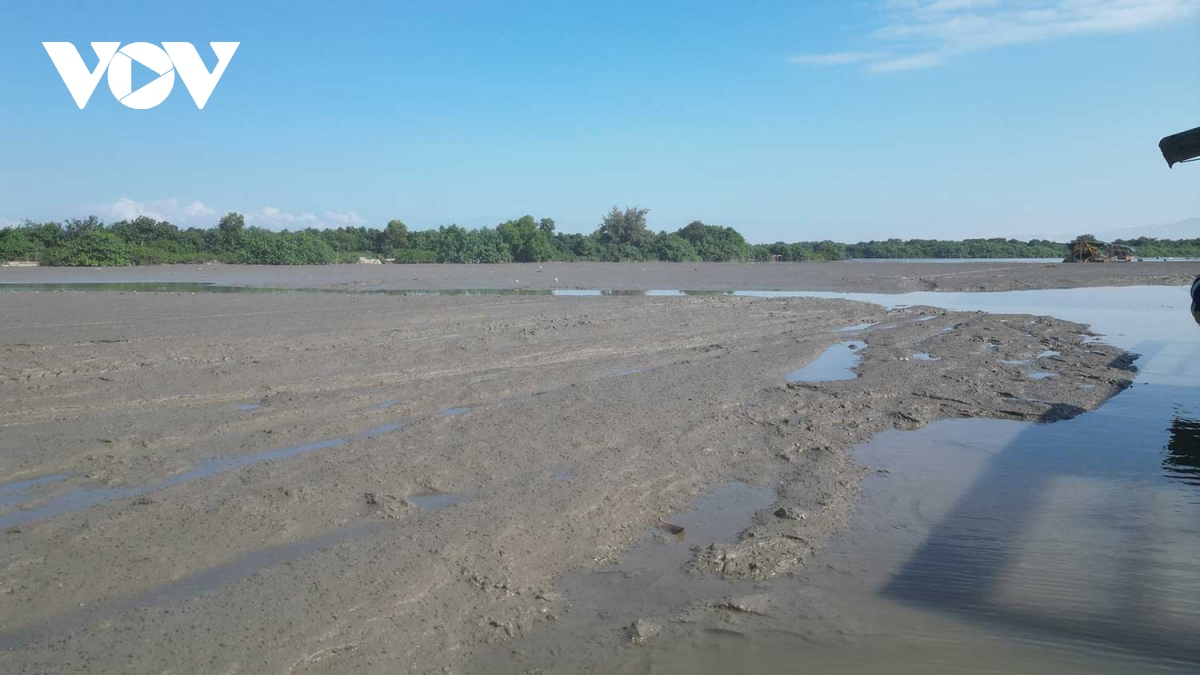 Đoạn sông ở Bình Định bị bồi lắng