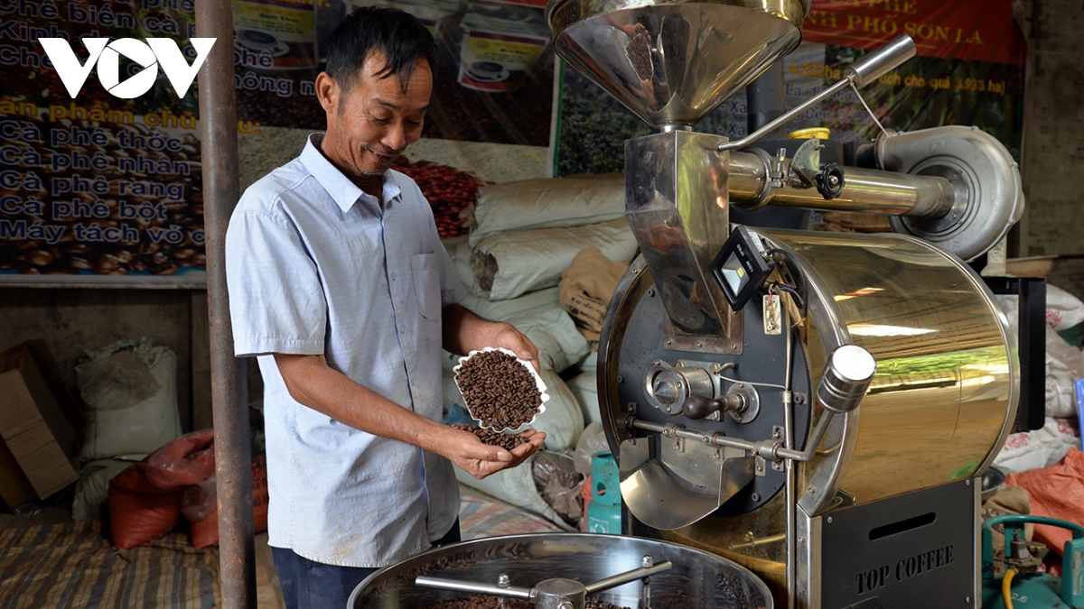 Giá cà phê hôm nay 7/12: Giá cà phê trong nước vượt 60.000 đồng/tấn