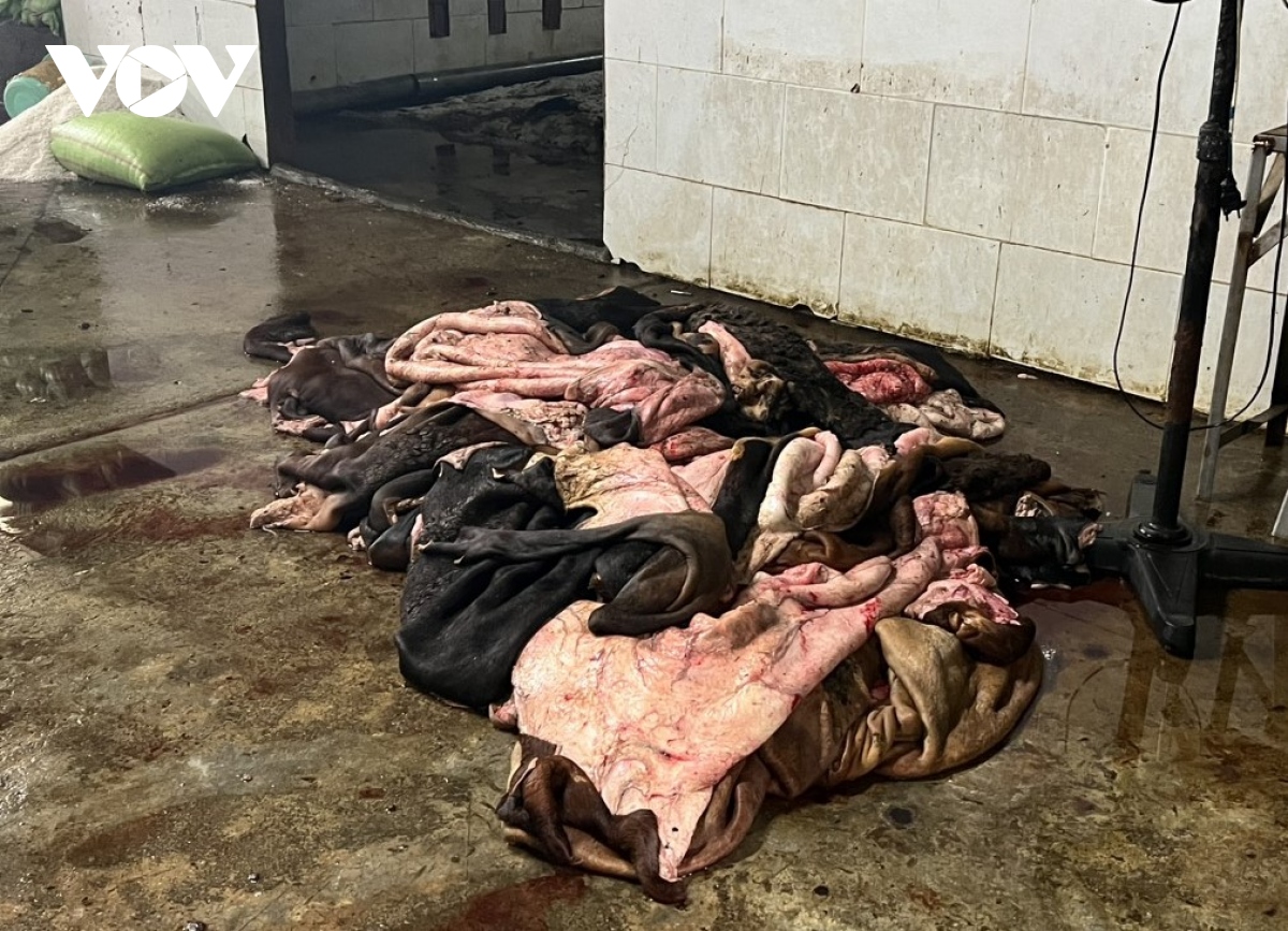 Phát hiện cơ sở đang sơ chế gần 4 tấn da bò bốc mùi hôi thối ở Đà Nẵng