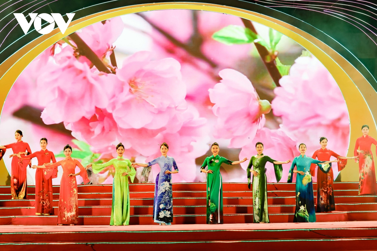 Ấn tượng đêm Khai mạc Lễ hội hoa Anh Đào - Điện Biên