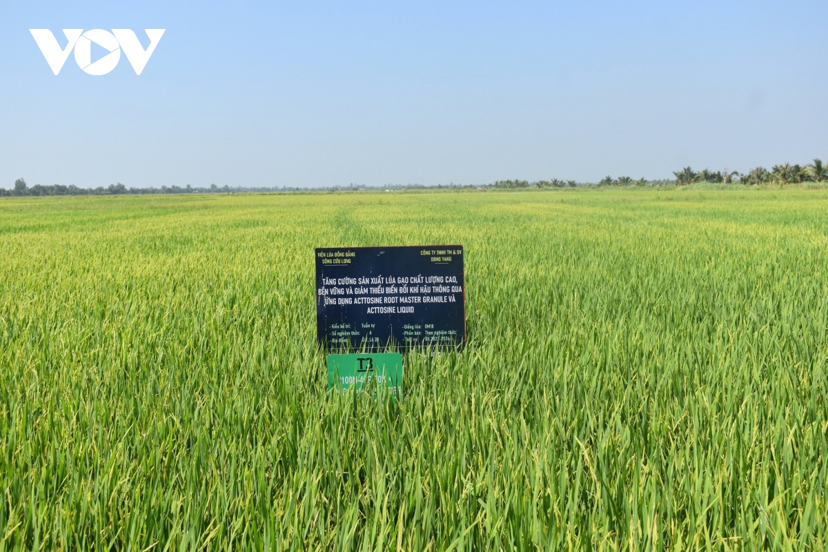 Công nghệ góp phần cho sự thành công của Đề án 1 triệu ha lúa ở ĐBSCL