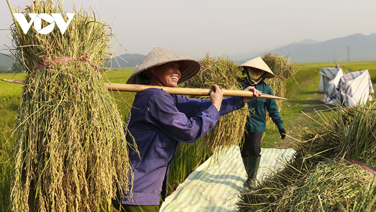 Hơn 1.000 hộ nông dân Điện Biên thoát nghèo.