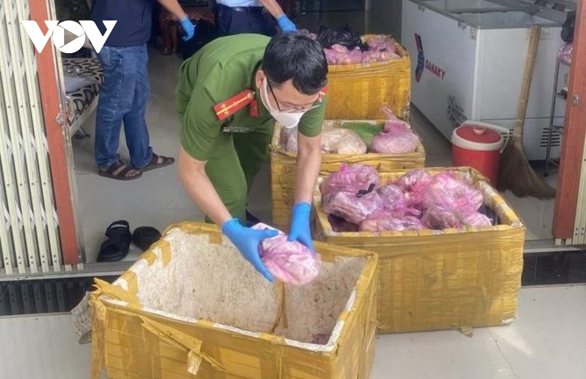 Phát hiện hơn 500 kg thịt heo không rõ nguồn gốc ở Bình Định