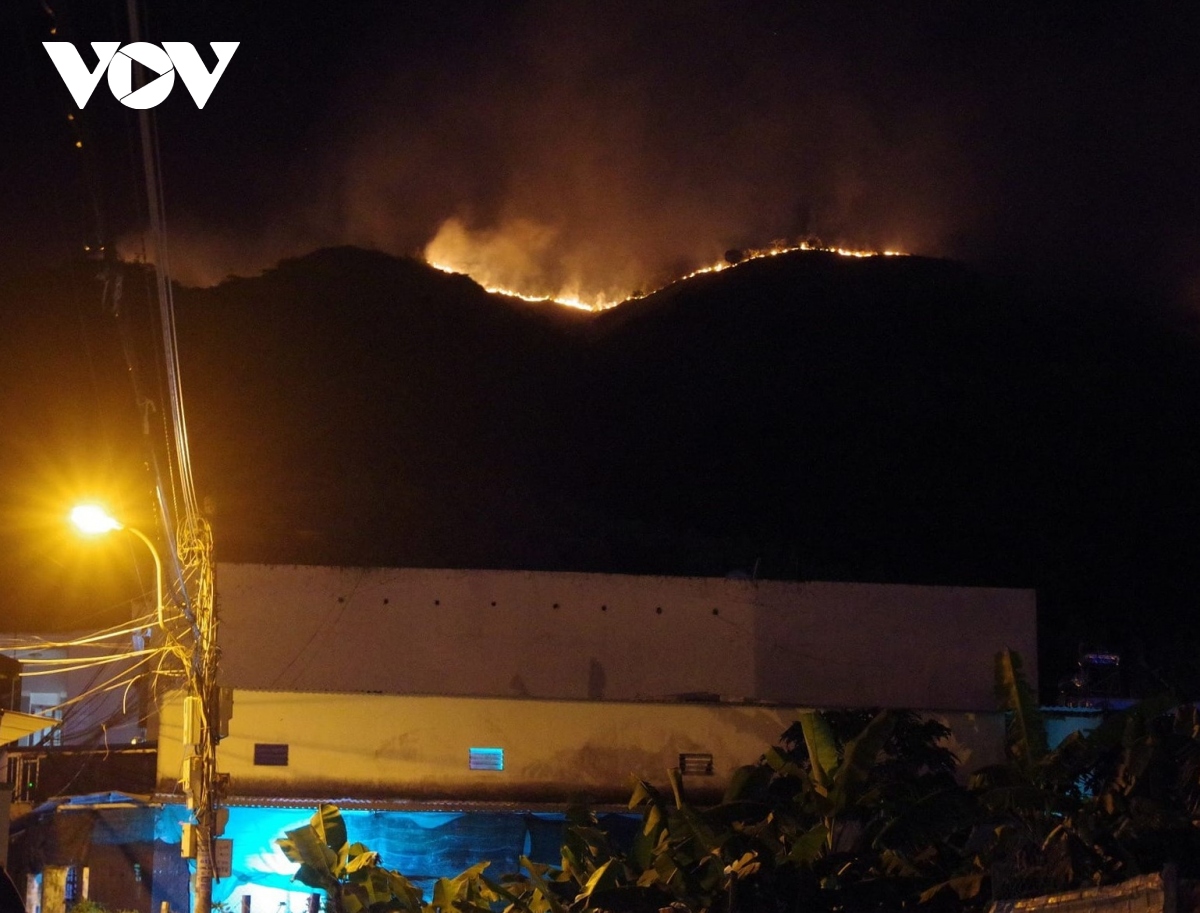 Khánh Hòa: Vụ cháy trên núi Cô Tiên không thiệt hại về rừng