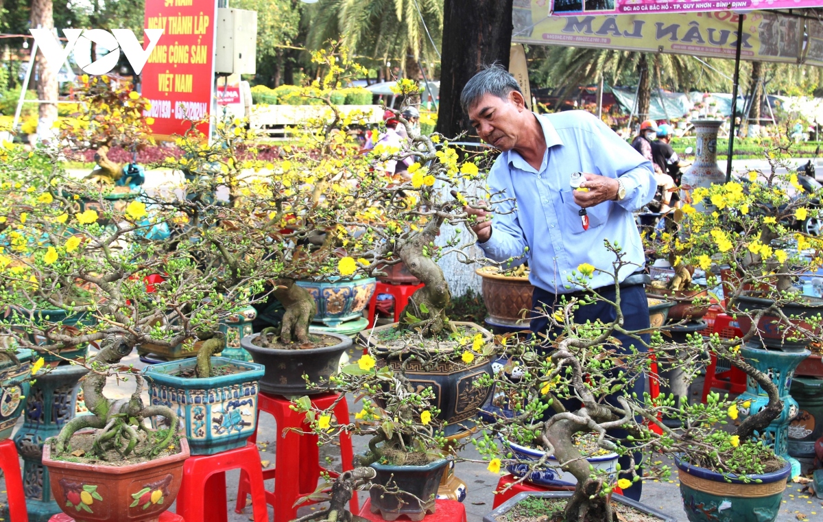 Rộn ràng chợ hoa xuân giữa thành phố Quy Nhơn