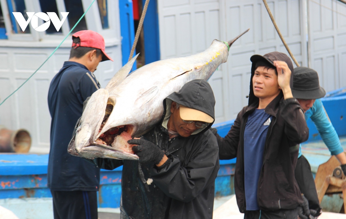 Ngư dân Bình Định phấn khởi chuyến biển xuyên Tết