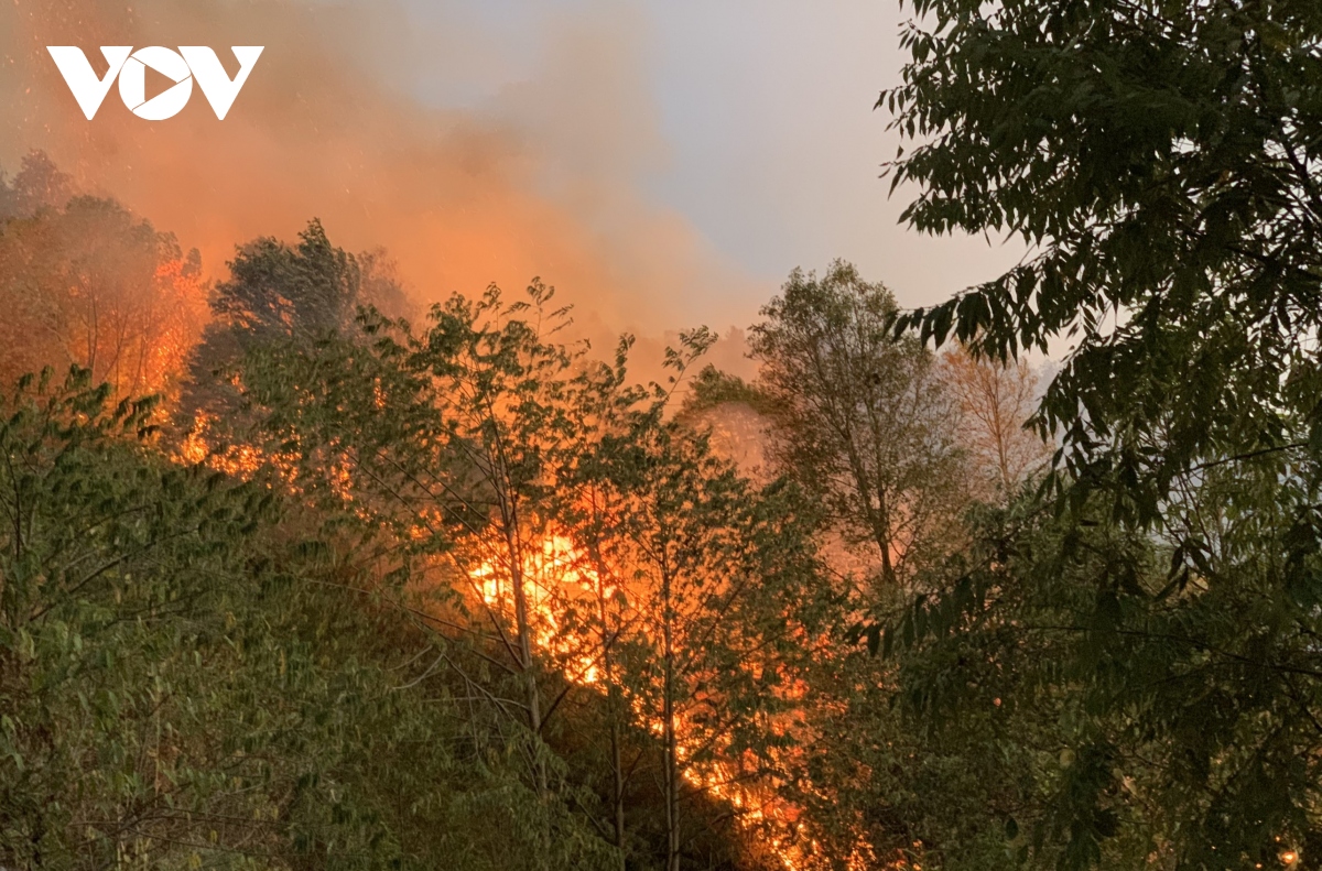 Yên Bái kịp thời dập tắt 3 vụ cháy rừng ở Mù Cang Chải