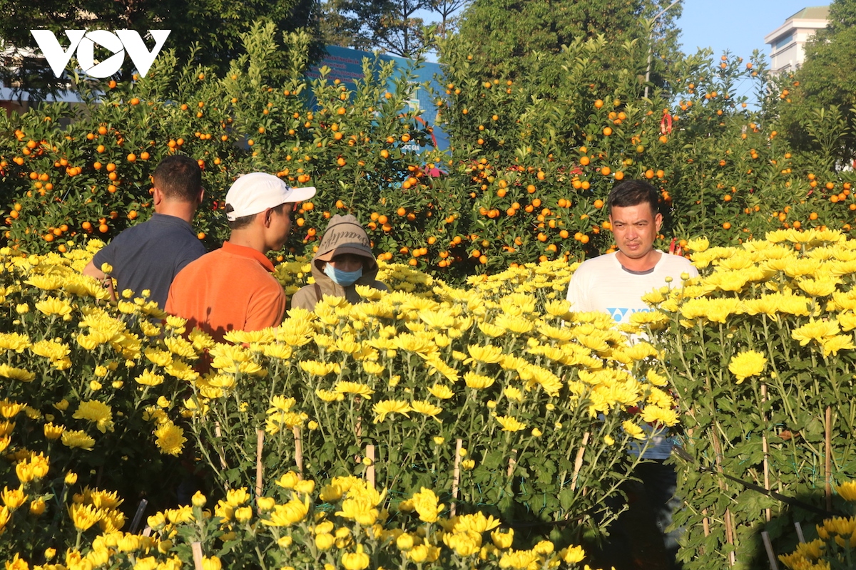 Thị trường hoa Tết ở Đắk Lắk ảm đạm