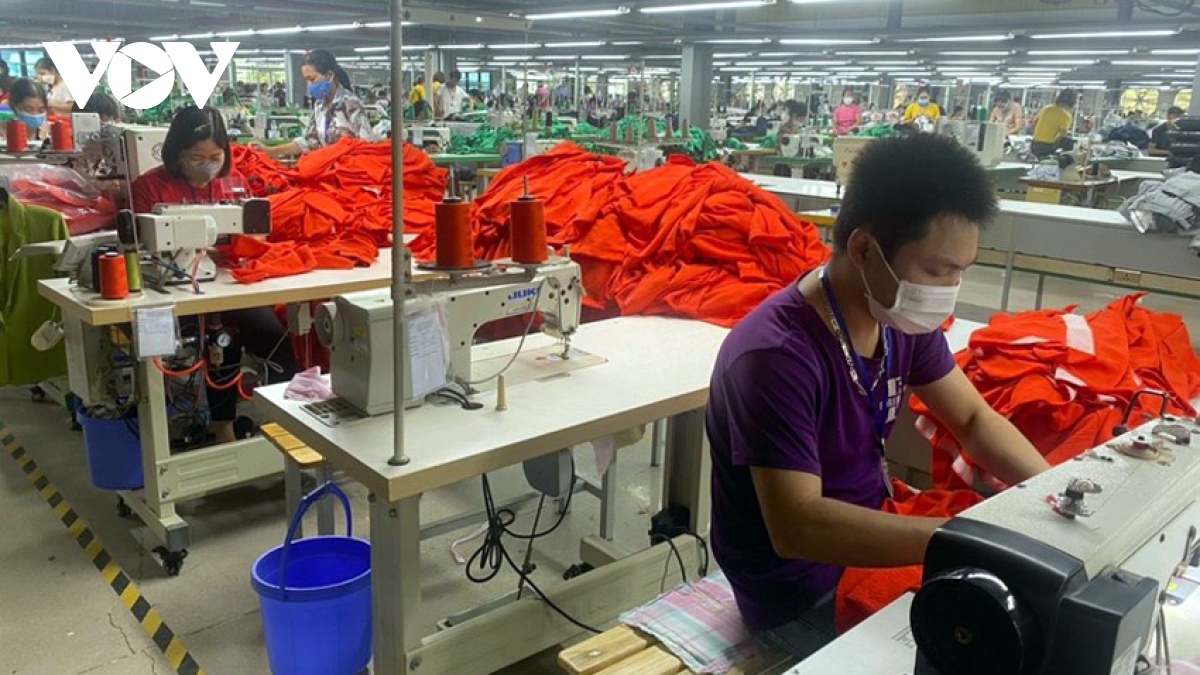 Doanh nghiệp dệt may Thanh Hoá linh hoạt tiếp cận thị trường xuất khẩu