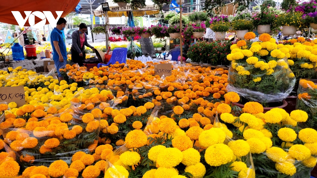 Chợ Hoa Xuân người đi xem nhiều hơn người mua