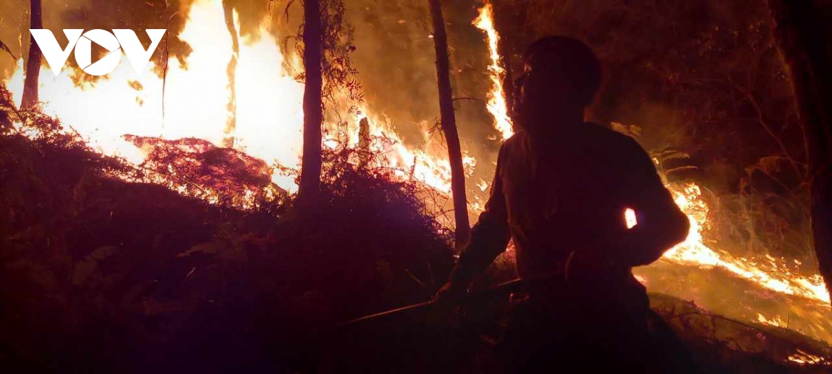 Gần 500 người tham gia khống chế cháy rừng ở Nghĩa Lộ (Yên Bái)