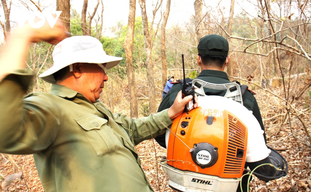 Nhiều giải pháp quyết liệt phòng chống cháy rừng ở An Giang