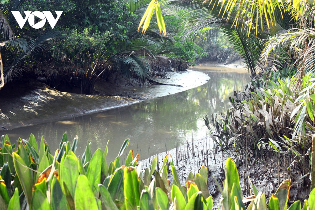 Mùa khô ở Vĩnh Long đã lộ diện những con sông khát nước
