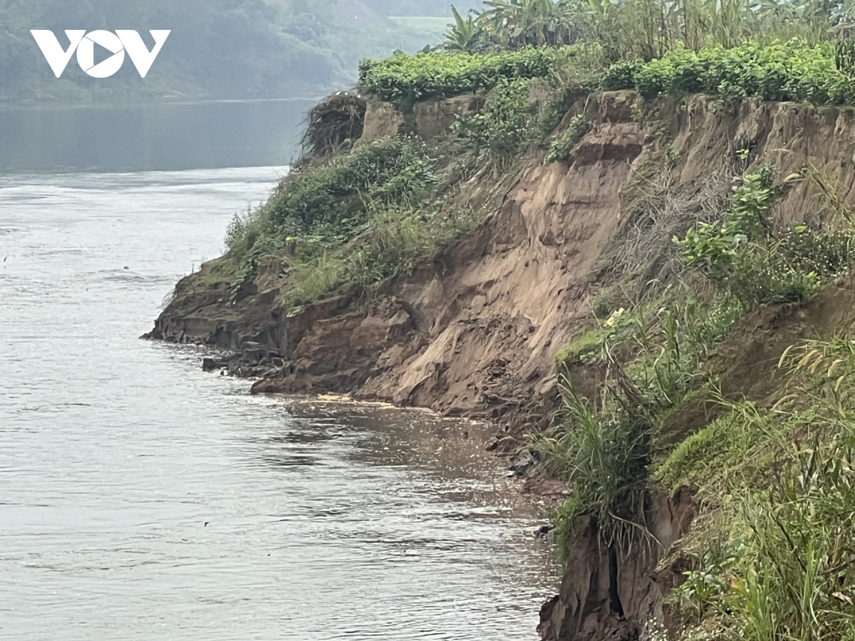 Sông Hồng “nuốt” đất, uy hiếp cuộc sống người dân Trấn Yên - Yên Bái
