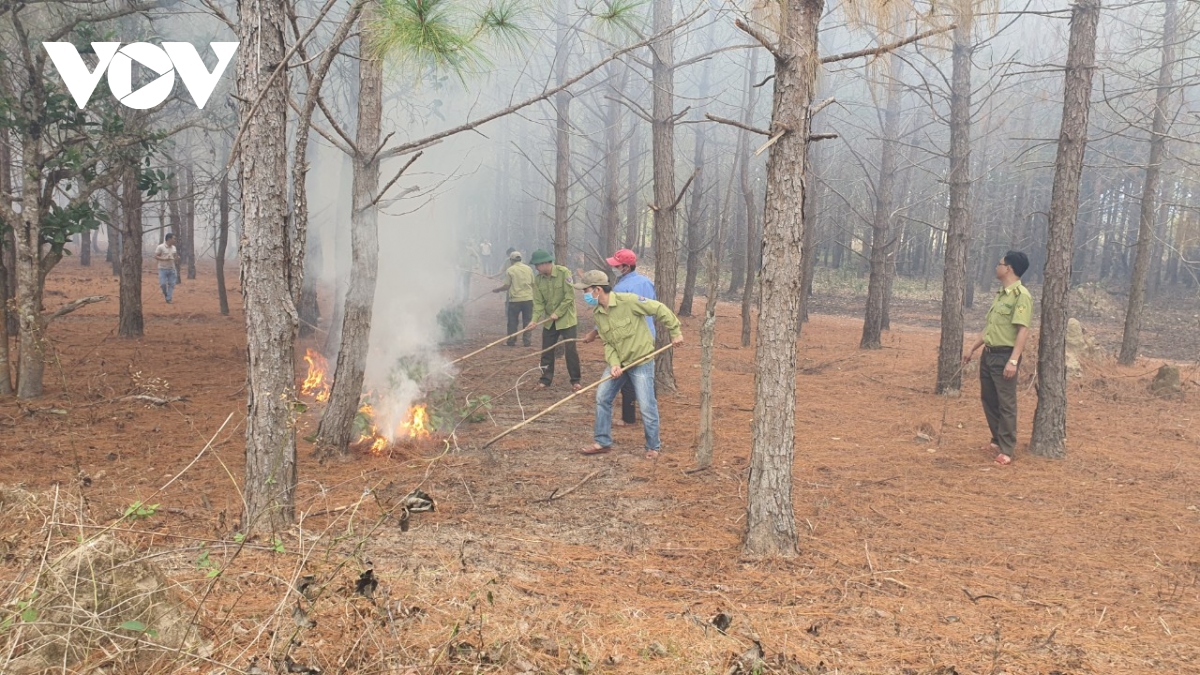 Nâng cao trách nhiệm cộng đồng phòng chống cháy rừng ở Gia Lai