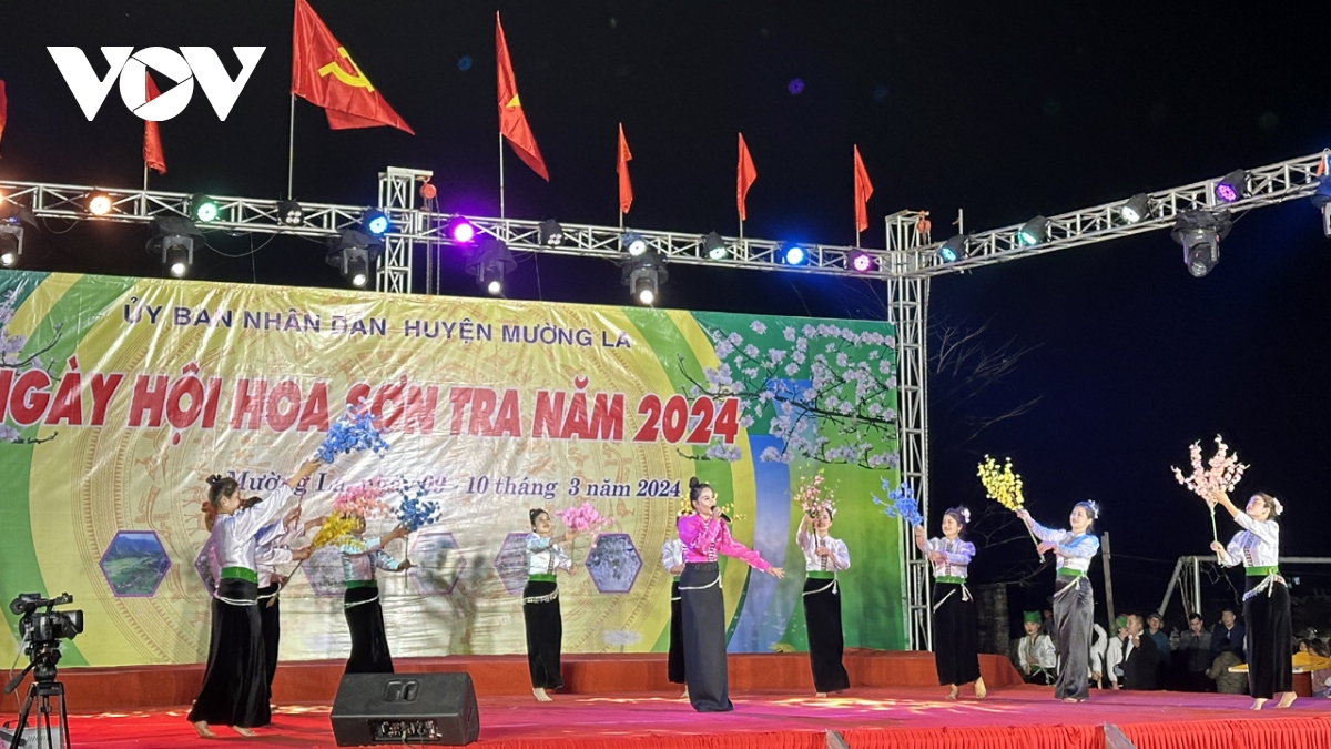 Xác lập kỷ lục xã Ngọc Chiến có rừng hoa sơn tra lớn nhất Việt Nam