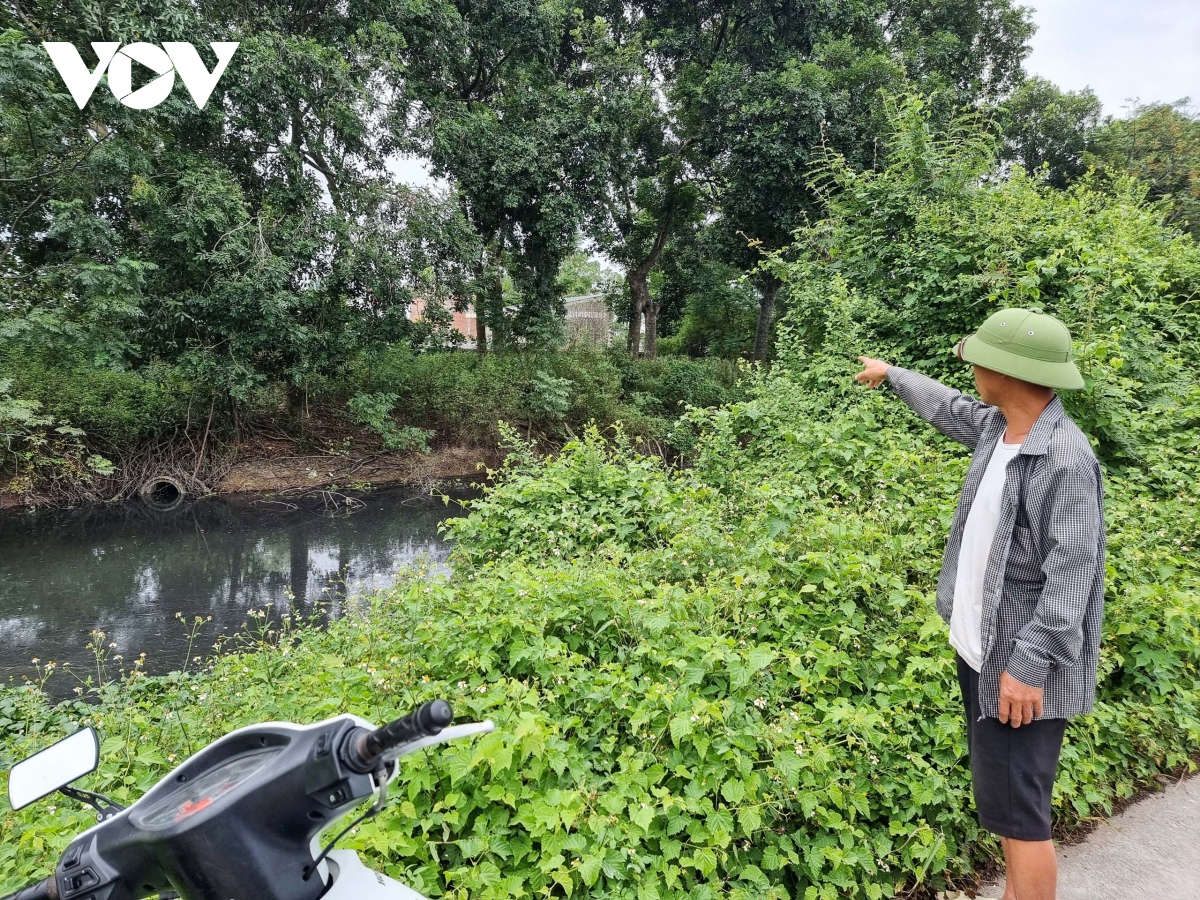 Kênh Tào Khê ở Bắc Ninh ô nhiễm, cá chết nổi trắng, đồng ruộng nứt nẻ