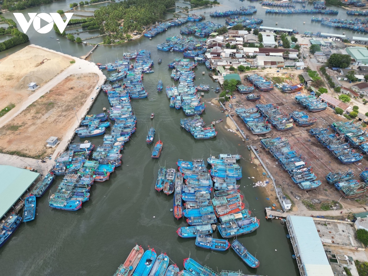 Khẩn trương xây dựng khu neo đậu tránh trú bão Tam Quan - Bình Định