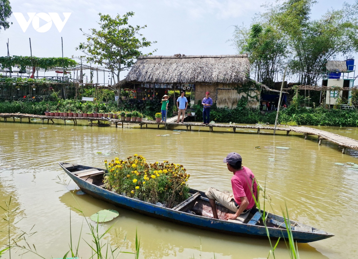 Du lịch nông nghiệp tại Quảng Nam thu hút khách tham quan