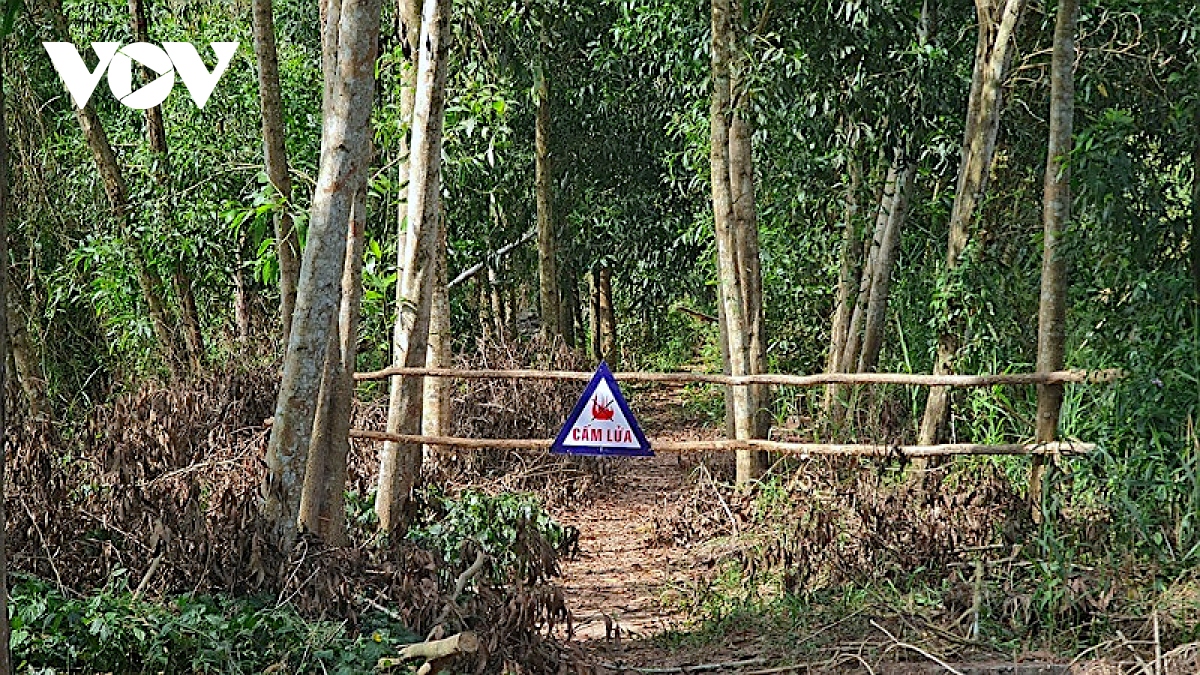 Hơn 8.000 ha rừng ở lâm phần U Minh hạ báo cháy cấp cực kỳ nguy hiểm