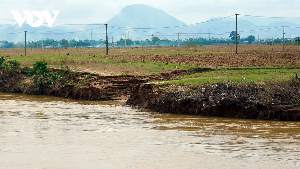Quảng Nam xây kè chống sạt lở khẩn cấp bờ sông Quảng Huế