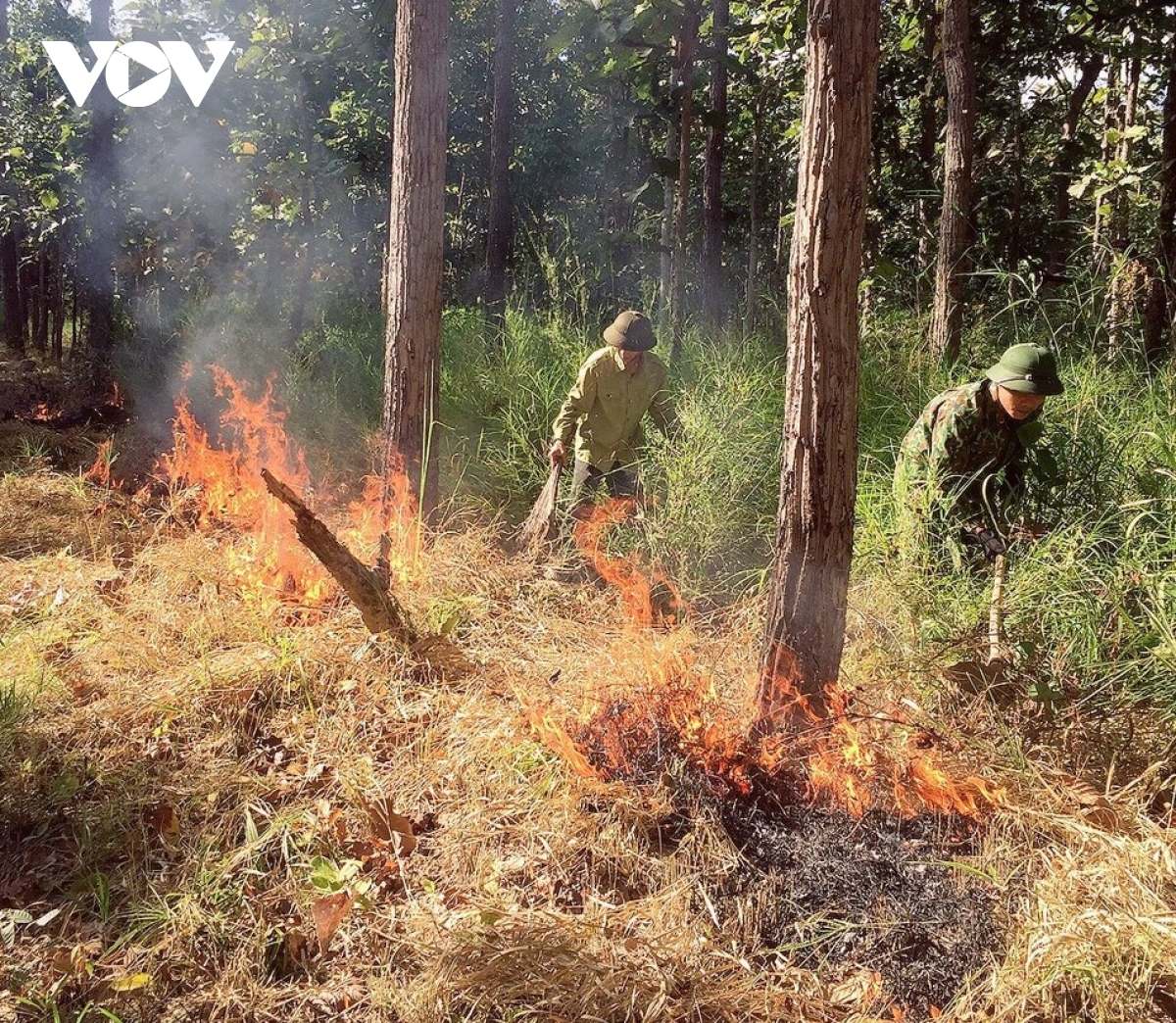 Nhiều diện tích rừng ở Đắk Lắk có nguy cơ cháy ở cấp cực kỳ nguy hiểm