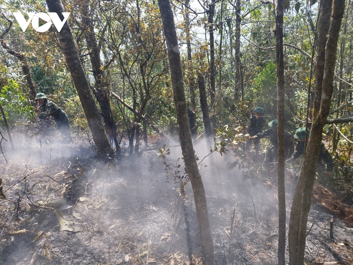 Hàng trăm cán bộ, chiến sĩ Hà Giang tham gia chữa cháy rừng