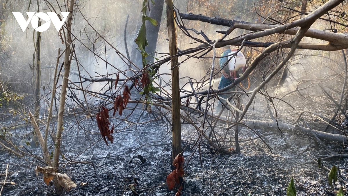 Cháy rừng tại một số địa phương tại An Giang đã cơ bản được khống chế