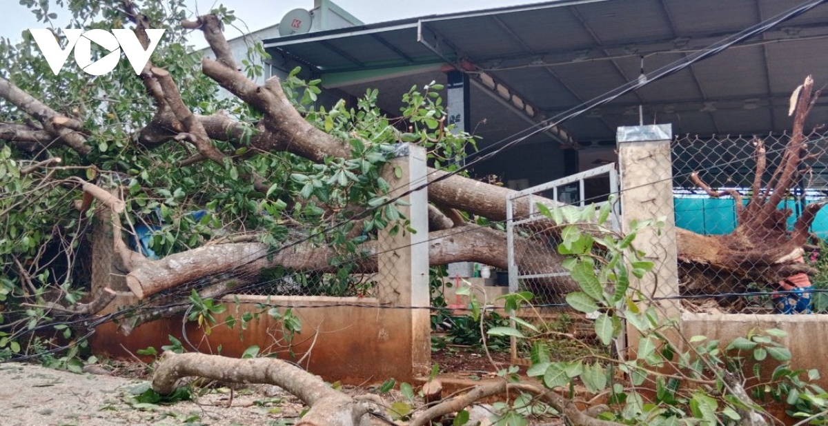 Lốc xoáy làm thiệt hại nhiều nhà cửa, công trình tại Bình Phước