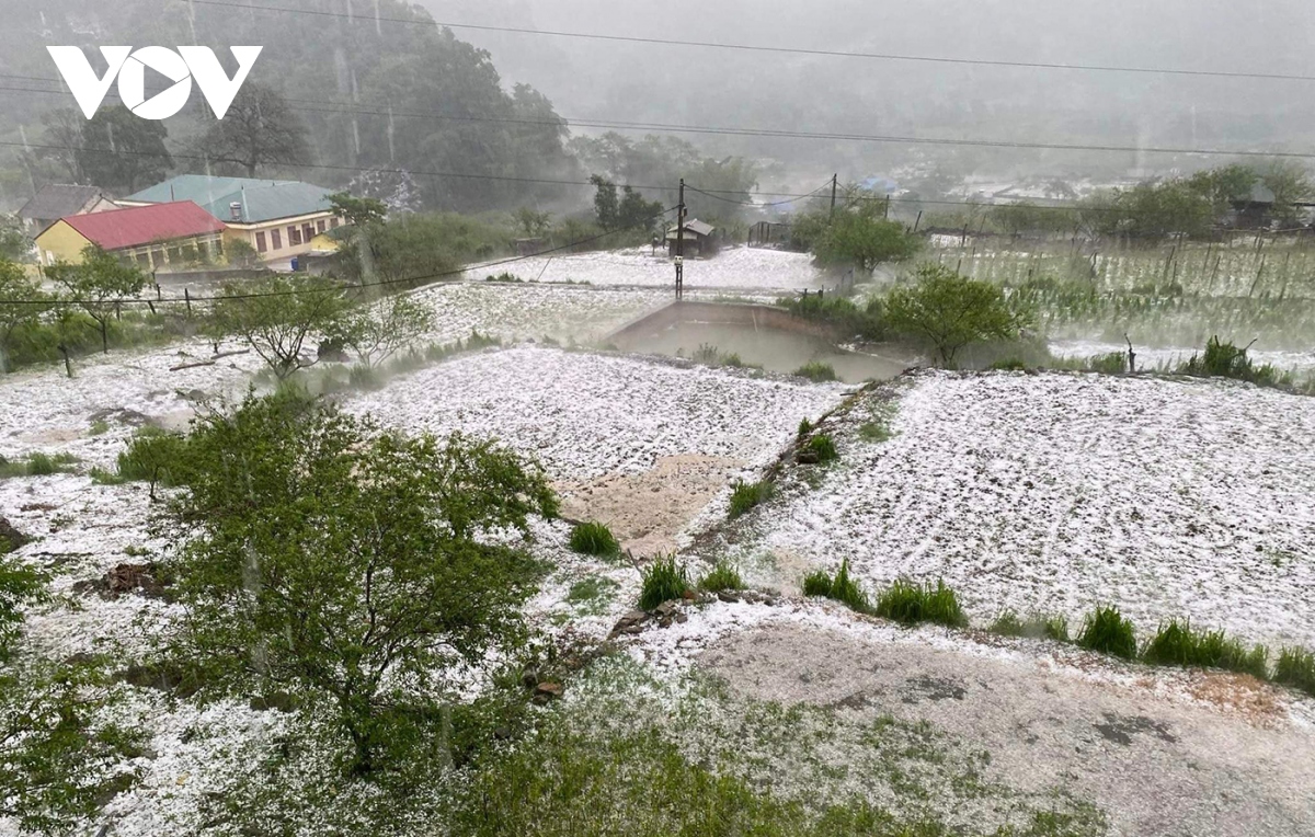 Dông lốc, mưa đá gây thiệt hại cho tỉnh Sơn La ước tính hơn 54 tỷ đồng