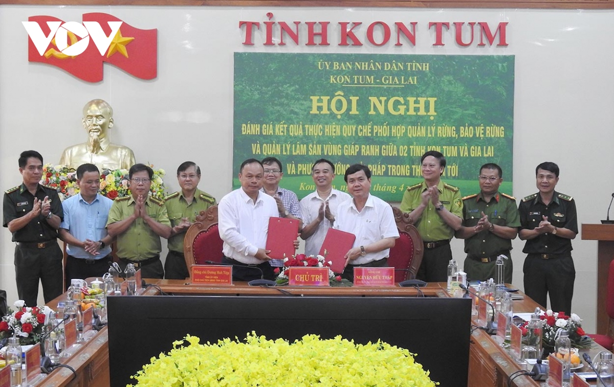 Kon Tum và Gia Lai tăng cường bảo vệ rừng vùng giáp ranh